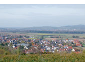 Merdingen