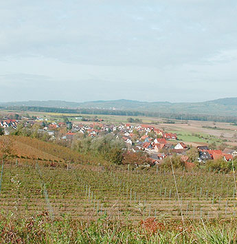 Merdingen und Tuniberg